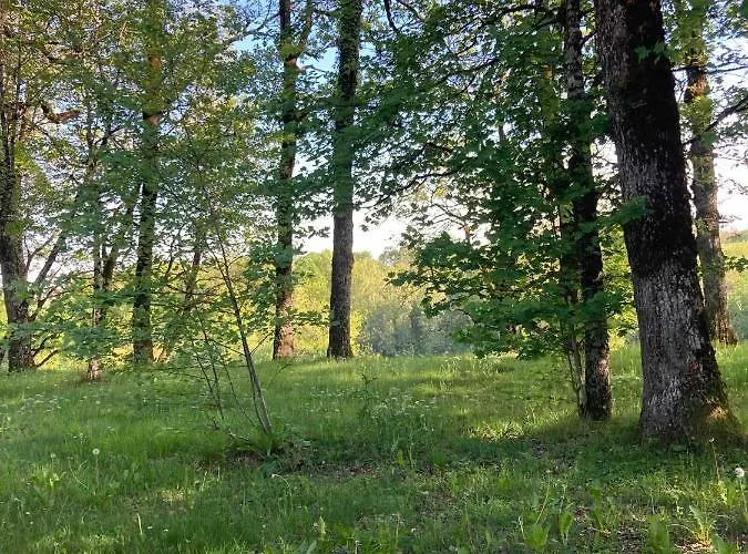 Résidence Les Chênes Camping