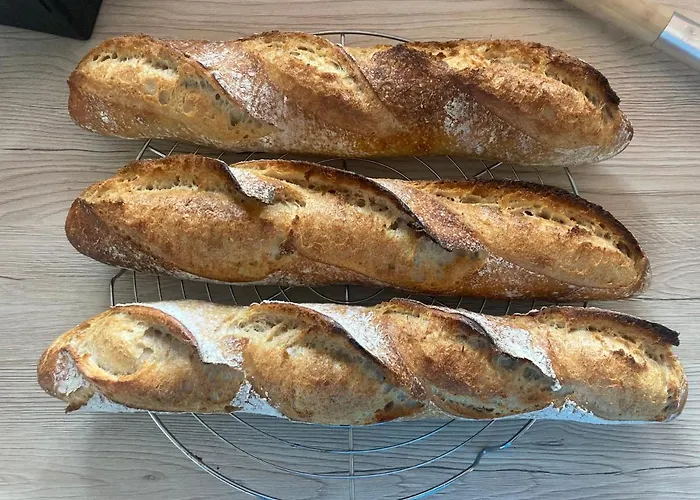 Résidence Les Chênes Camping